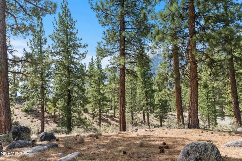 3398 Golf Club, Carson City, Nevada 89705, ,Land,Residential,Golf Club,260003679