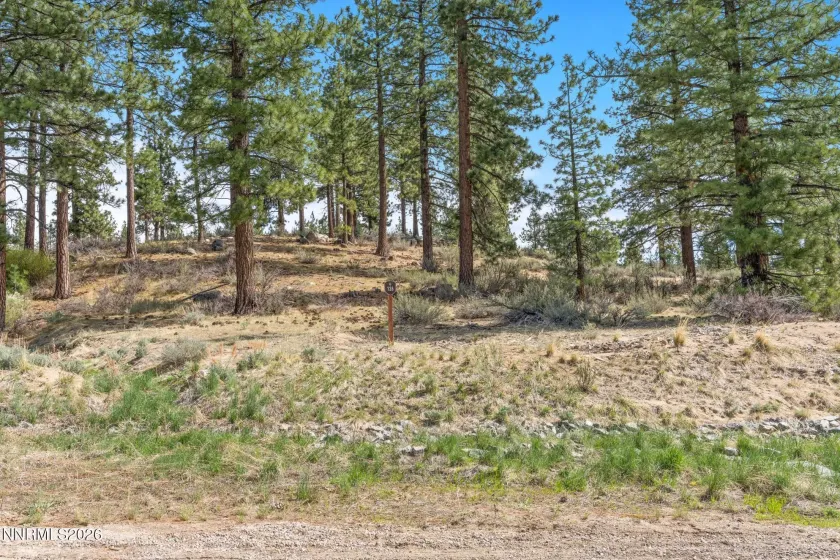 3398 Golf Club, Carson City, Nevada 89705, ,Land,Residential,Golf Club,260003679