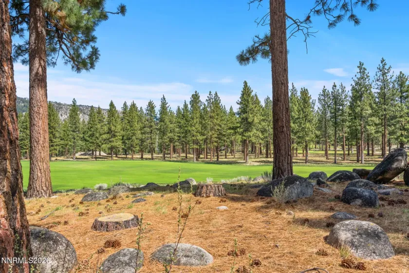3398 Golf Club, Carson City, Nevada 89705, ,Land,Residential,Golf Club,260003679