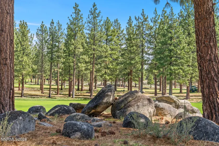 3398 Golf Club, Carson City, Nevada 89705, ,Land,Residential,Golf Club,260003679