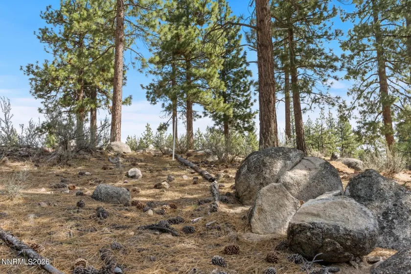 3398 Golf Club, Carson City, Nevada 89705, ,Land,Residential,Golf Club,260003679