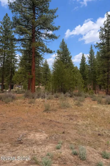 40 Boulders Bend, Carson City, Nevada 89705, ,Land,Residential,Boulders Bend,260003680