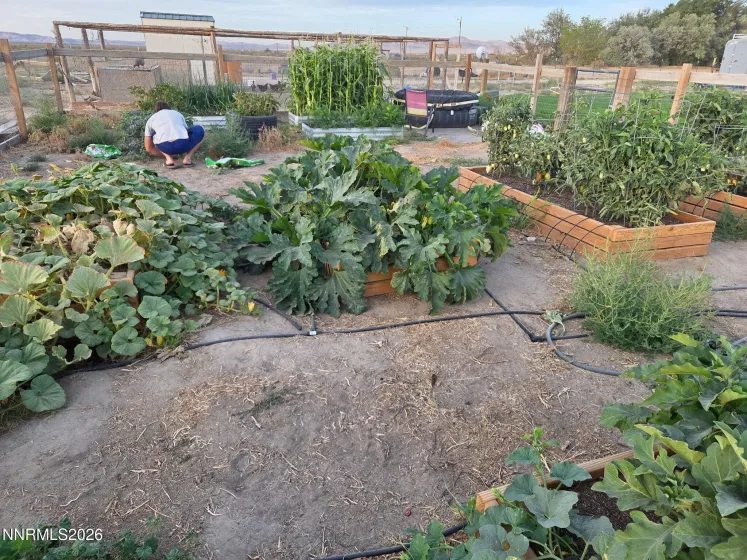 5355 Godchaux, Winnemucca, Nevada 89445, 3 Bedrooms Bedrooms, ,2 BathroomsBathrooms,Residential,Residential,Godchaux,260003692