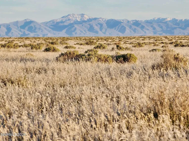 5 Elevenmile Well, Golconda, Nevada 89414, ,Land,Residential,Elevenmile Well,260003694