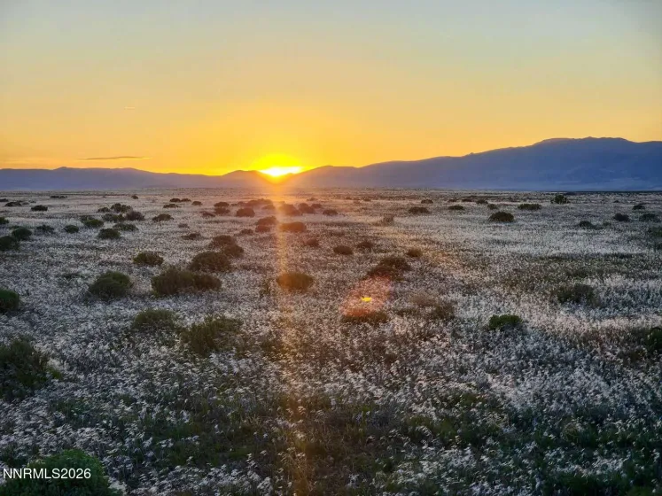 5 Elevenmile Well, Golconda, Nevada 89414, ,Land,Residential,Elevenmile Well,260003694