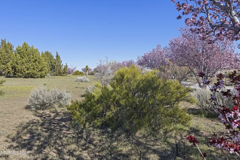 15069 Red Rock, Reno, Nevada 89508, 3 Bedrooms Bedrooms, ,3 BathroomsBathrooms,Residential,Residential,Red Rock,260003698