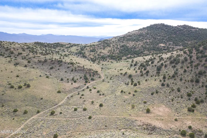 22100 Flowery, Reno, Nevada 89521, ,Land,Residential,Flowery,260003701