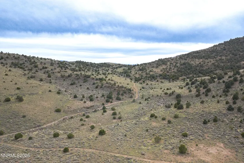 22100 Flowery, Reno, Nevada 89521, ,Land,Residential,Flowery,260003701