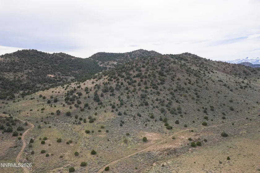 22100 Flowery, Reno, Nevada 89521, ,Land,Residential,Flowery,260003701