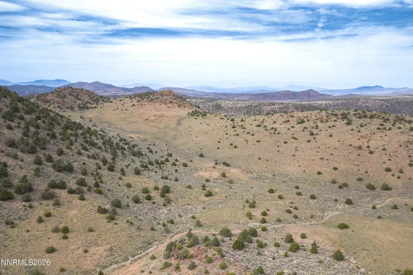 22100 Flowery, Reno, Nevada 89521, ,Land,Residential,Flowery,260003701