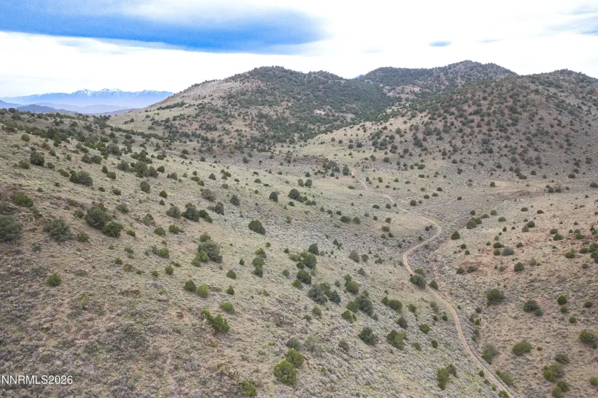 22100 Flowery, Reno, Nevada 89521, ,Land,Residential,Flowery,260003701