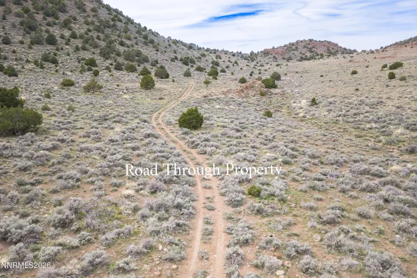 22100 Flowery, Reno, Nevada 89521, ,Land,Residential,Flowery,260003701