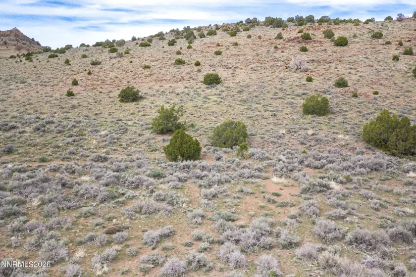 22100 Flowery, Reno, Nevada 89521, ,Land,Residential,Flowery,260003701