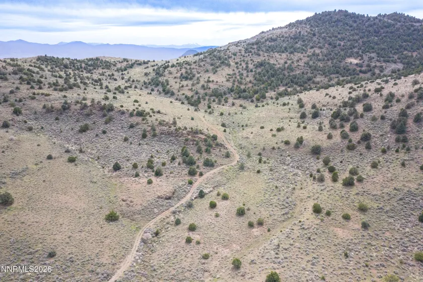 22100 Flowery, Reno, Nevada 89521, ,Land,Residential,Flowery,260003701