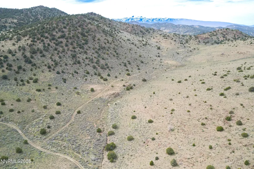 22100 Flowery, Reno, Nevada 89521, ,Land,Residential,Flowery,260003701