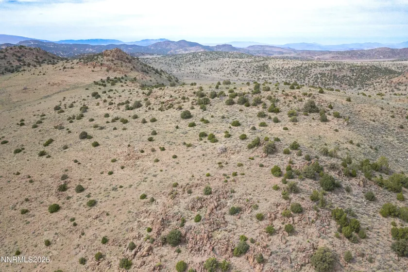 22100 Flowery, Reno, Nevada 89521, ,Land,Residential,Flowery,260003701