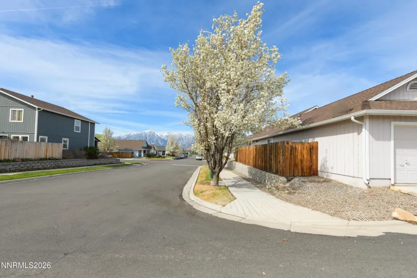 1349 Mountain Ash, Gardnerville, Nevada 89410, 3 Bedrooms Bedrooms, ,2 BathroomsBathrooms,Residential,Residential,Mountain Ash,260003712
