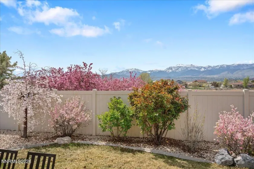 10145 Burghley, Reno, Nevada 89521, 3 Bedrooms Bedrooms, ,3 BathroomsBathrooms,Residential,Residential,Burghley,260003716