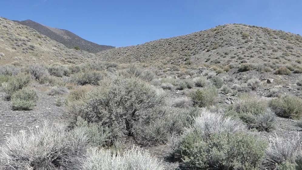 104 Toquima, Austin, Nevada 89310, ,Land,Residential,Toquima,260003729
