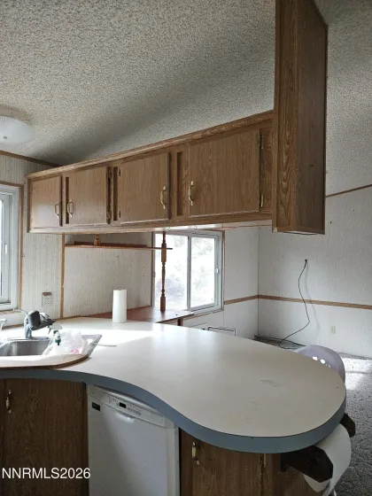 255 Danforth, Sun Valley, Nevada 89433, 3 Bedrooms Bedrooms, ,2 BathroomsBathrooms,Residential,Residential,Danforth,260003739