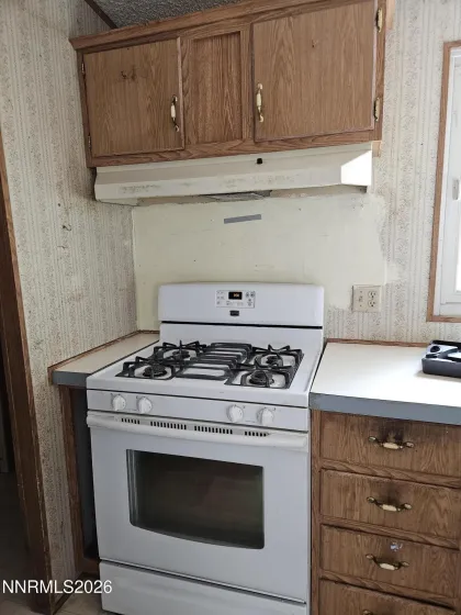 255 Danforth, Sun Valley, Nevada 89433, 3 Bedrooms Bedrooms, ,2 BathroomsBathrooms,Residential,Residential,Danforth,260003739