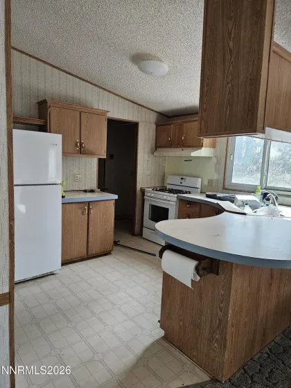 255 Danforth, Sun Valley, Nevada 89433, 3 Bedrooms Bedrooms, ,2 BathroomsBathrooms,Residential,Residential,Danforth,260003739