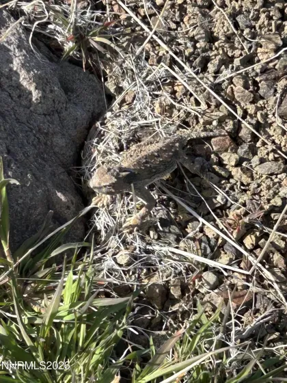 015-521-08 Parcel, Silver Springs, Nevada 89429, ,Land,Residential,Parcel,260003756