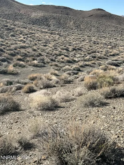 015-521-08 Parcel, Silver Springs, Nevada 89429, ,Land,Residential,Parcel,260003756