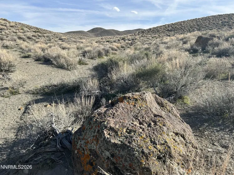 015-521-08 Parcel, Silver Springs, Nevada 89429, ,Land,Residential,Parcel,260003756