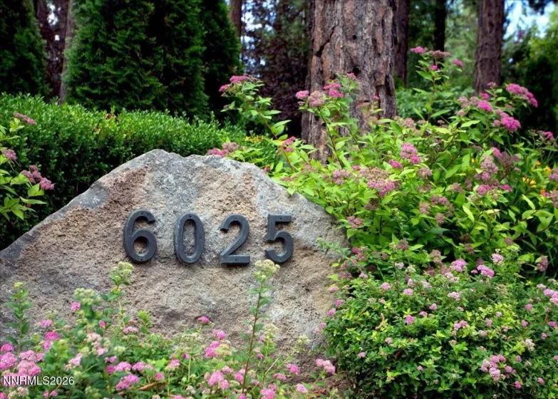 6025 Lake Geneva, Reno, Nevada 89511, 6 Bedrooms Bedrooms, ,6 BathroomsBathrooms,Residential,Residential,Lake Geneva,260003759