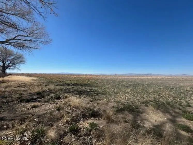 40.23 Acres Workman, Fallon, Nevada 89406, ,Land,Residential,Workman,260003766