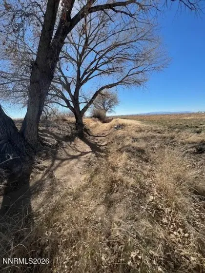 40.23 Acres Workman, Fallon, Nevada 89406, ,Land,Residential,Workman,260003766