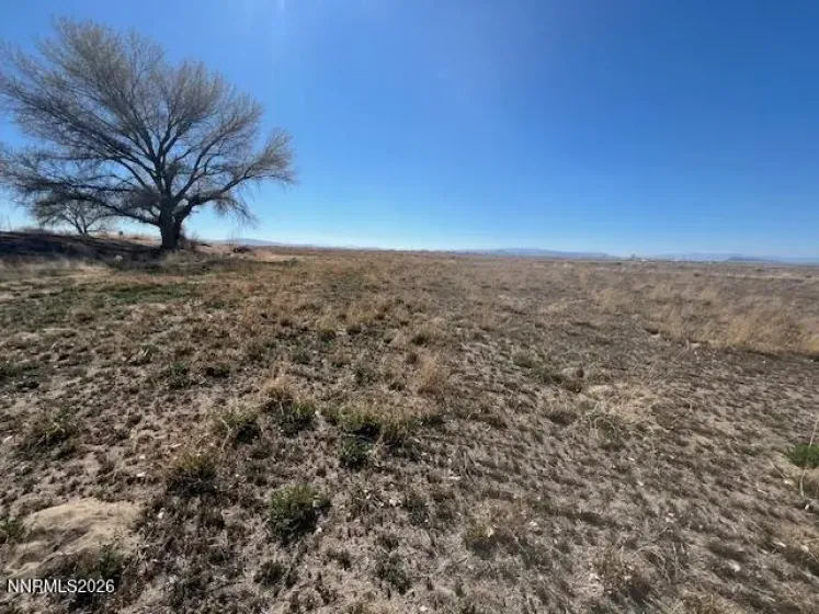 40.23 Acres Workman, Fallon, Nevada 89406, ,Land,Residential,Workman,260003766