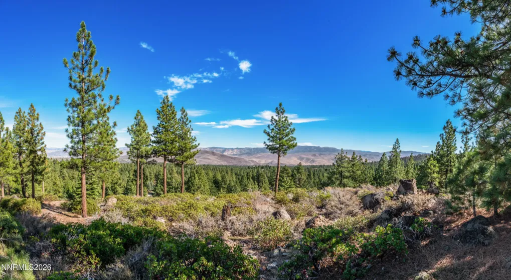 145 Jeffrey Pine, Reno, Nevada 89511, ,Land,Residential,Jeffrey Pine,260003774