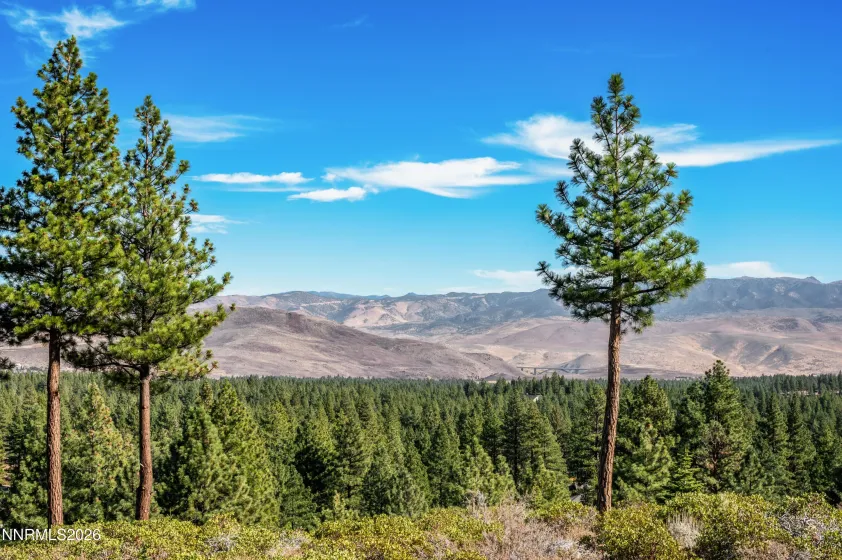 145 Jeffrey Pine, Reno, Nevada 89511, ,Land,Residential,Jeffrey Pine,260003774