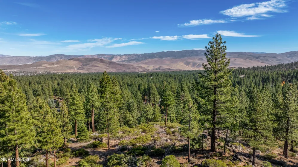 145 Jeffrey Pine, Reno, Nevada 89511, ,Land,Residential,Jeffrey Pine,260003774