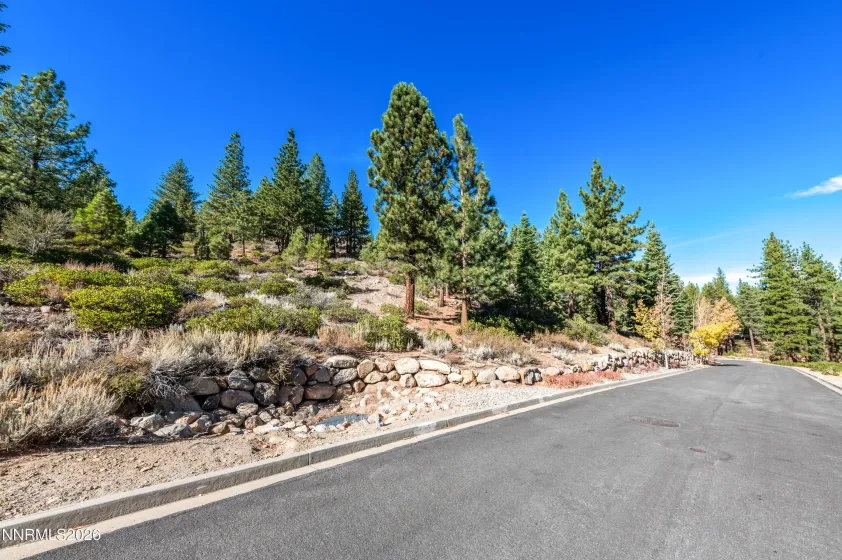 145 Jeffrey Pine, Reno, Nevada 89511, ,Land,Residential,Jeffrey Pine,260003774