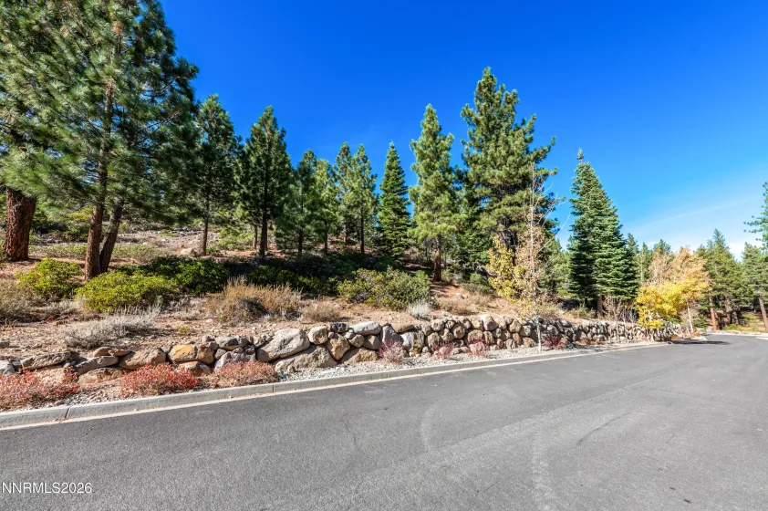 145 Jeffrey Pine, Reno, Nevada 89511, ,Land,Residential,Jeffrey Pine,260003774