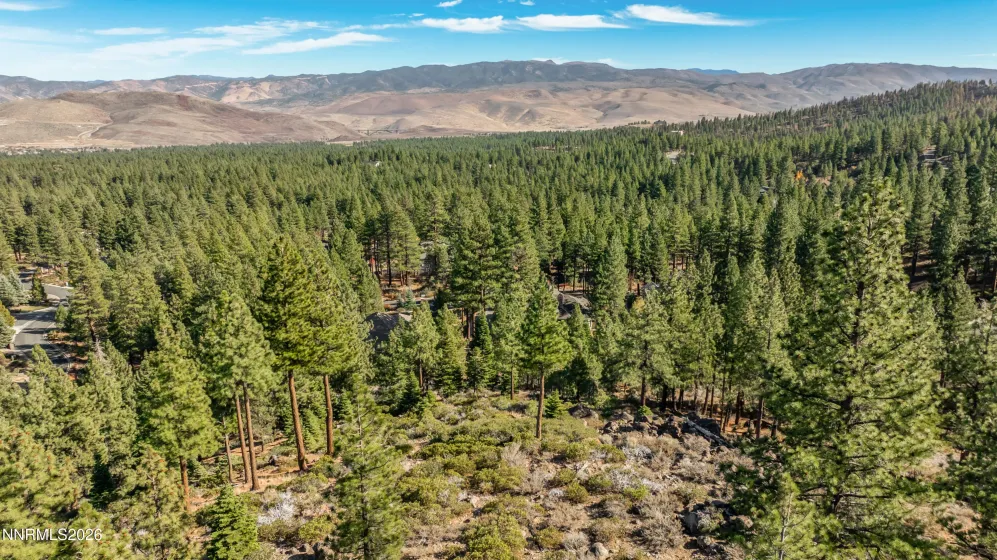 145 Jeffrey Pine, Reno, Nevada 89511, ,Land,Residential,Jeffrey Pine,260003774