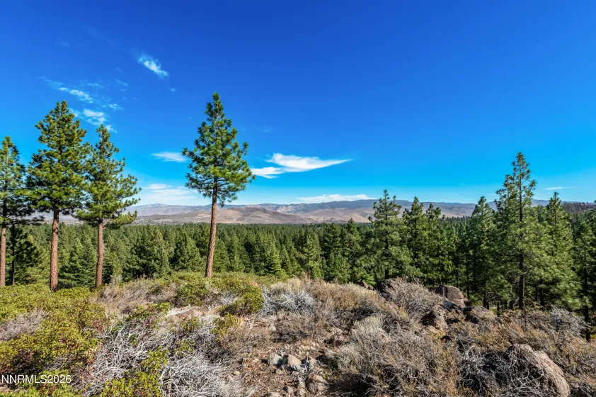145 Jeffrey Pine, Reno, Nevada 89511, ,Land,Residential,Jeffrey Pine,260003774