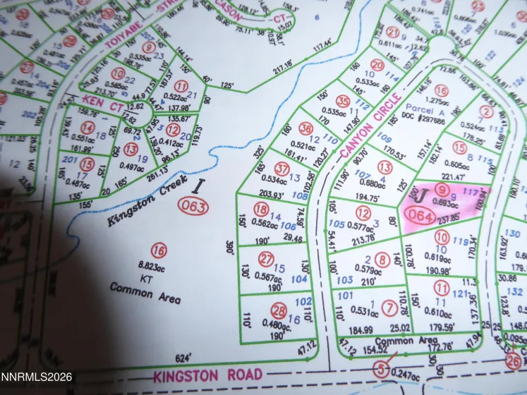 117 Canyon, Kingston, Nevada 89310, ,Land,Residential,Canyon,260003790