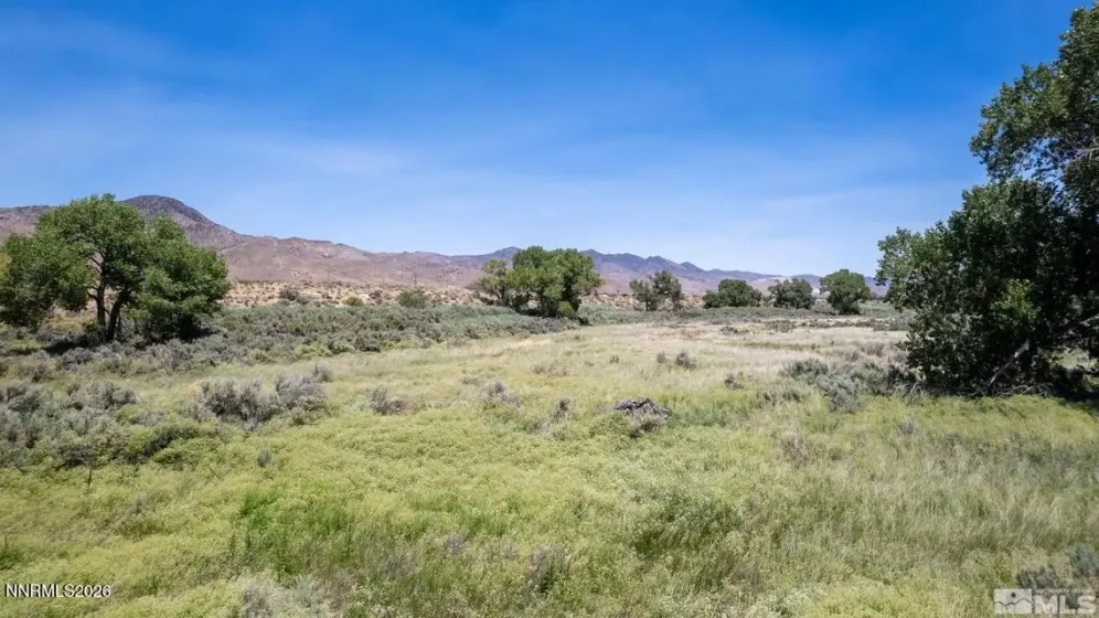 5 River, Dayton, Nevada 89403, ,Land,Residential,River,260003799