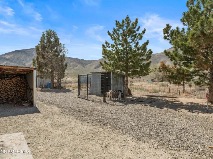 21 Van Fleet, Yerington, Nevada 89447, 3 Bedrooms Bedrooms, ,2 BathroomsBathrooms,Residential,Residential,Van Fleet,260003803