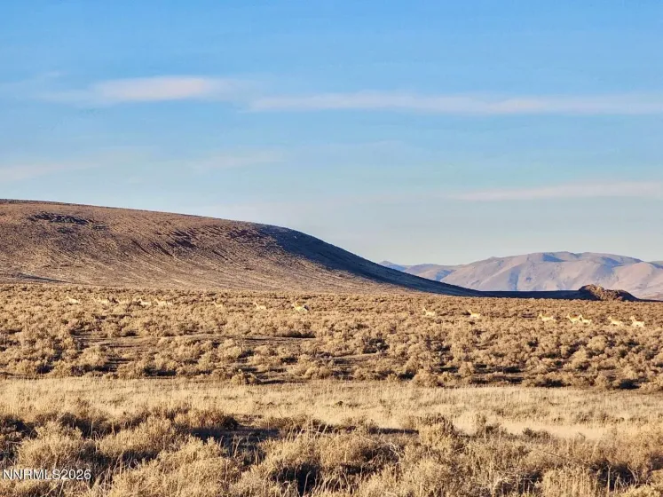 0 Bird Ranch, Crescent Valley, Nevada 89821, ,Land,Residential,Bird Ranch,260003841