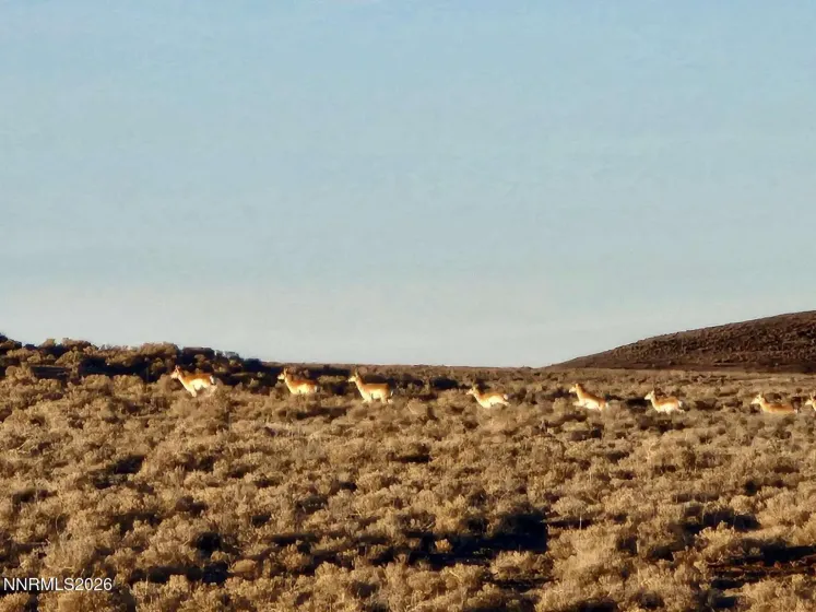 0 Bird Ranch, Crescent Valley, Nevada 89821, ,Land,Residential,Bird Ranch,260003841
