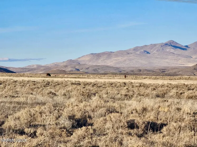 0 Bird Ranch, Crescent Valley, Nevada 89821, ,Land,Residential,Bird Ranch,260003841