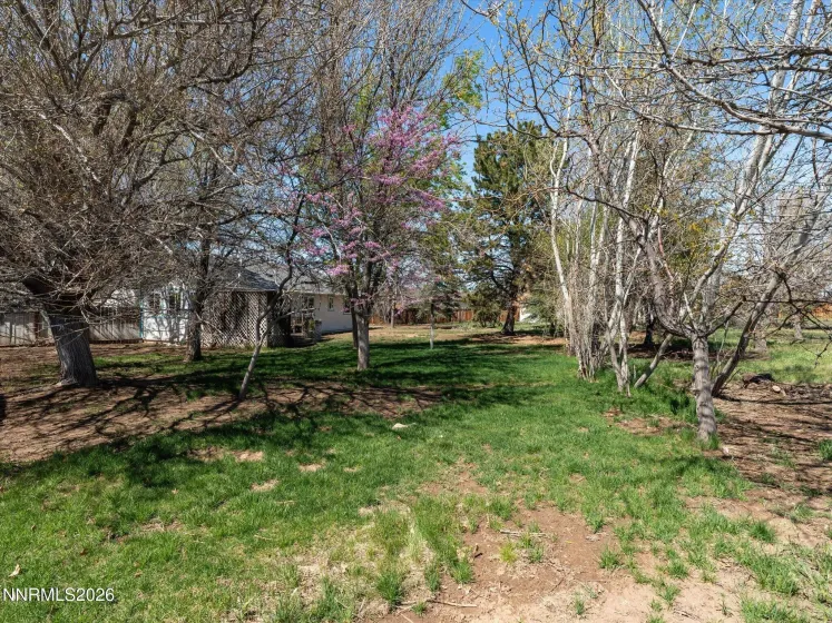 35 Mc Lemore, Sparks, Nevada 89441, 3 Bedrooms Bedrooms, ,2 BathroomsBathrooms,Residential,Residential,Mc Lemore,260003908