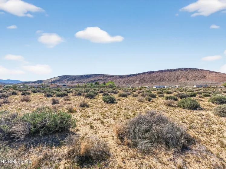 1340 Badger, Silver Springs, Nevada 89429, ,Land,Residential,Badger,260001033