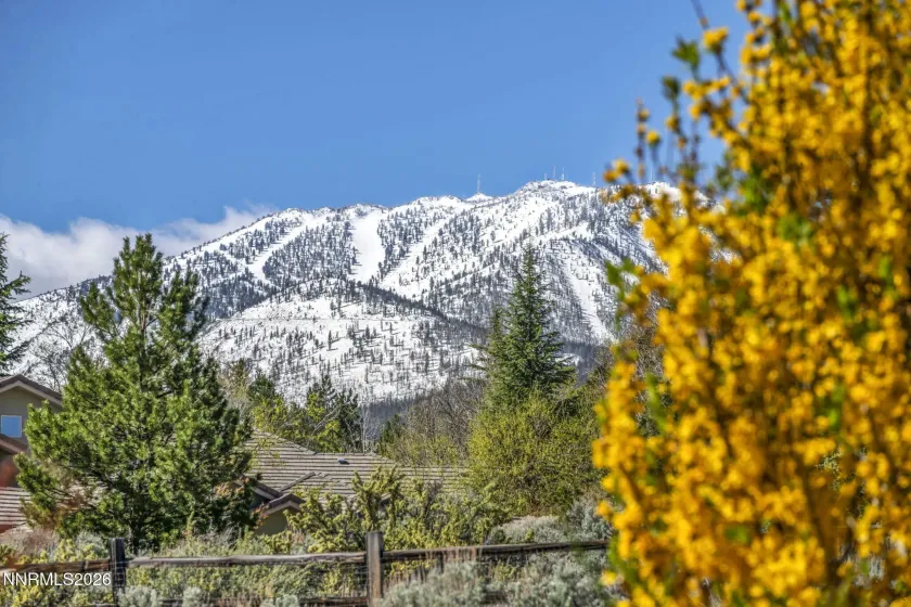 14295 Black Eagle, Reno, Nevada 89511, 3 Bedrooms Bedrooms, ,3 BathroomsBathrooms,Residential,Residential,Black Eagle,260003917