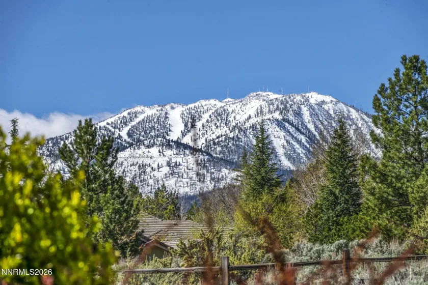 14295 Black Eagle, Reno, Nevada 89511, 3 Bedrooms Bedrooms, ,3 BathroomsBathrooms,Residential,Residential,Black Eagle,260003917